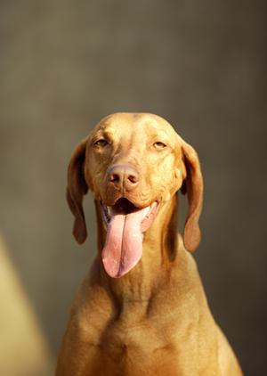 安全性の高いサービスを受けられます