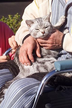 京都市で動物病院を探しているなら