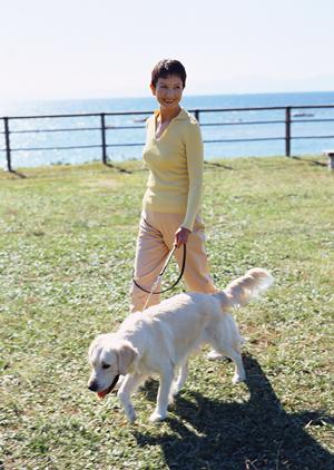 犬の肉球ケア用のオールインワンクリーム