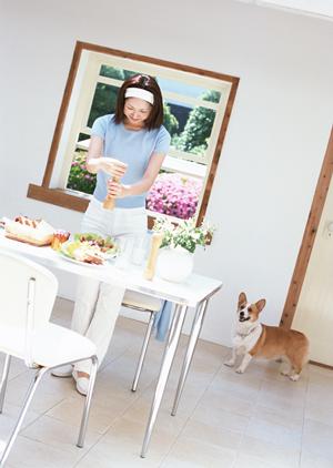 渋谷区にある犬の幼稚園の情報です