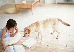 札幌中央区にある緑の森どうぶつ病院の特徴と魅力を徹底解説