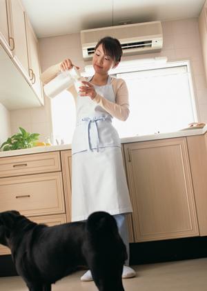 お勧めの京都府にある動物病院の紹介