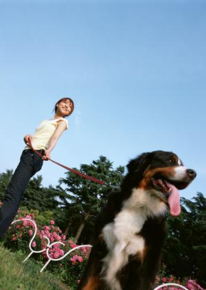 伊勢原にある通院しやすい動物病院